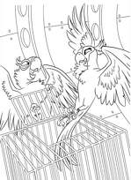 coloriage rio blu sauve perla